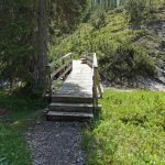 Führt der Weg über Holzstege